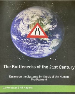 The Bottlenecks 2021